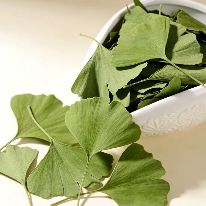 Home Fragrance Candles - Hojas Secas de Ginkgo Biloba de