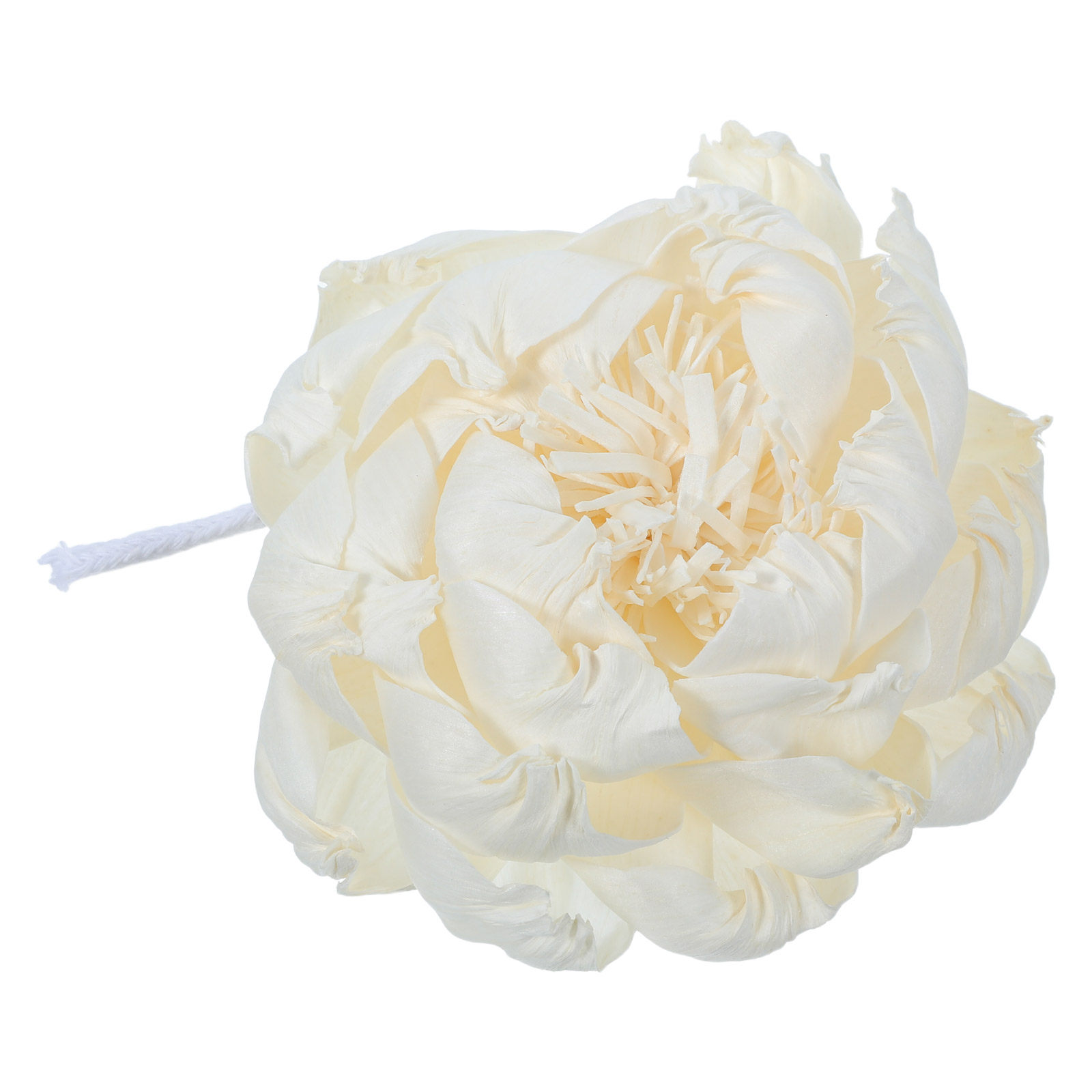 Difusor de Aroma con Cabeza de - Home Fragrance Essential Oils reseña y precio