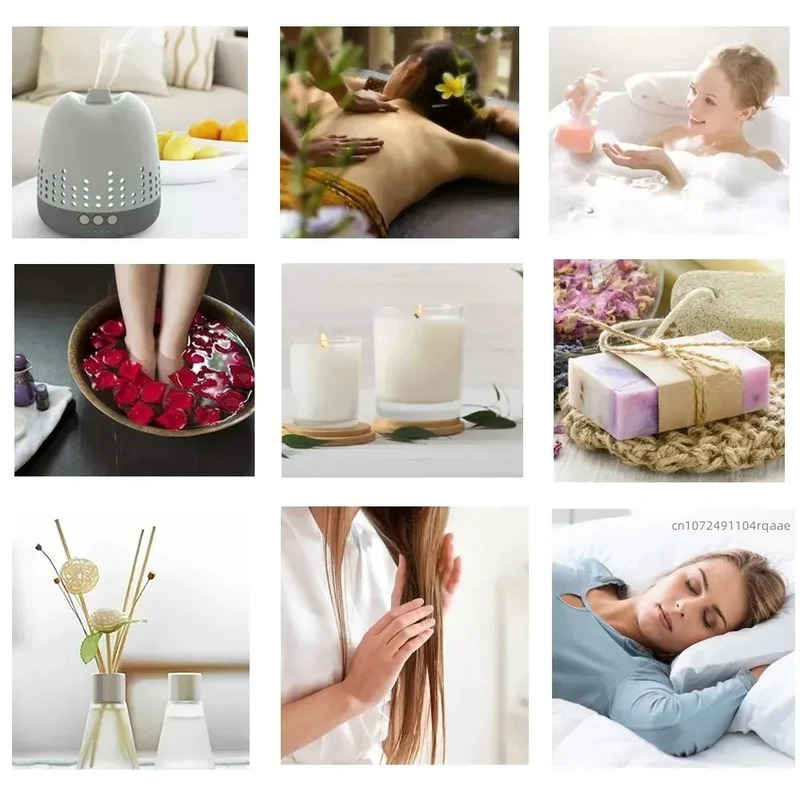 Difusor de Aroma Natural de Lo - Home Fragrance Reed Diffuser reseña y precio
